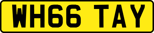 WH66TAY