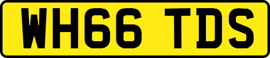 WH66TDS