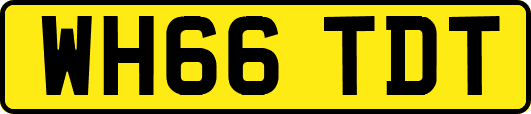 WH66TDT