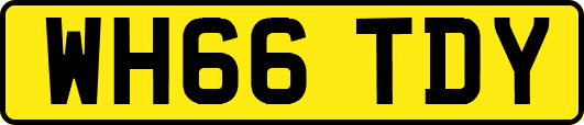 WH66TDY