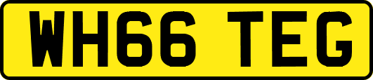 WH66TEG