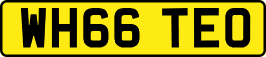 WH66TEO