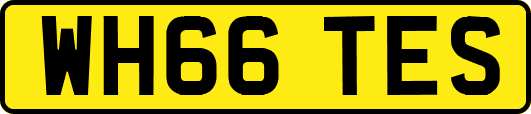 WH66TES