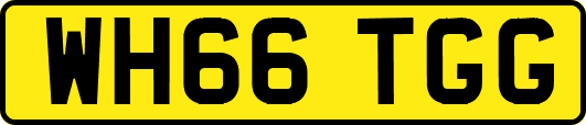 WH66TGG