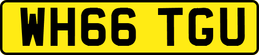 WH66TGU