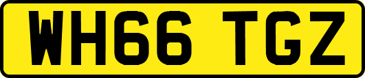 WH66TGZ