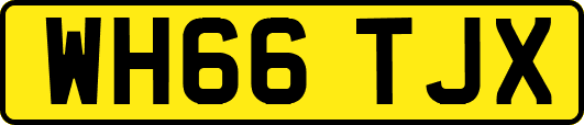 WH66TJX