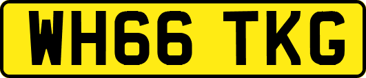 WH66TKG