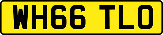 WH66TLO