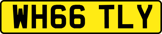 WH66TLY