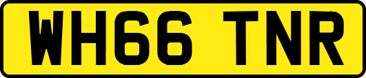 WH66TNR