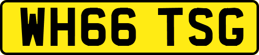 WH66TSG