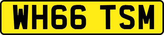 WH66TSM