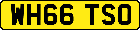WH66TSO