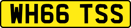 WH66TSS