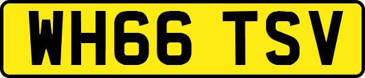 WH66TSV