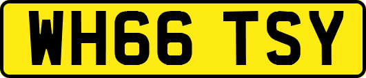 WH66TSY