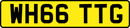 WH66TTG