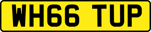 WH66TUP