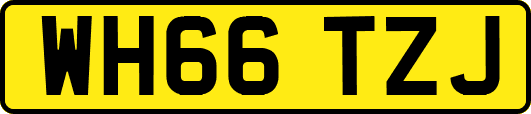 WH66TZJ