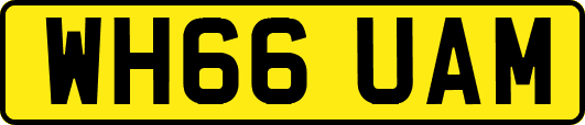 WH66UAM