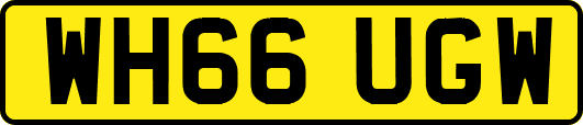 WH66UGW
