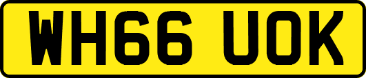 WH66UOK