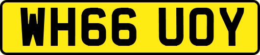 WH66UOY