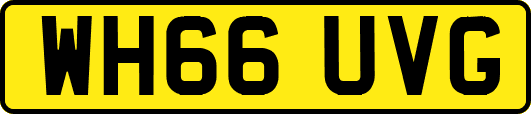 WH66UVG