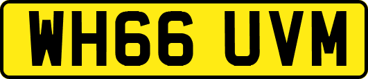 WH66UVM