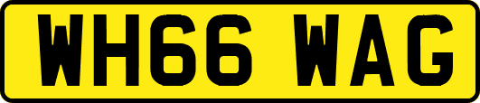WH66WAG