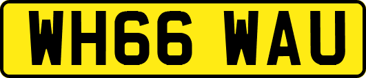 WH66WAU