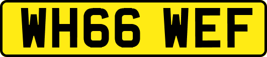 WH66WEF