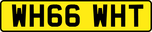 WH66WHT
