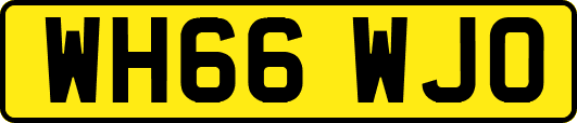 WH66WJO