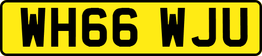 WH66WJU