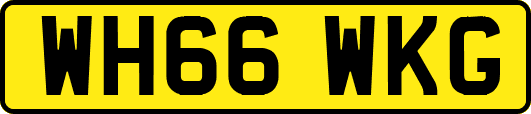 WH66WKG