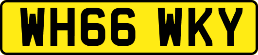 WH66WKY