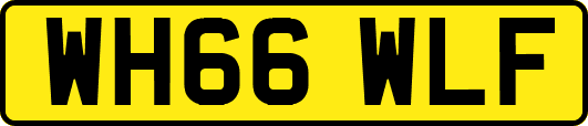 WH66WLF