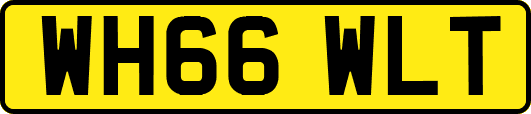WH66WLT