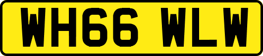 WH66WLW