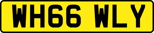 WH66WLY