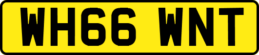 WH66WNT