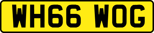 WH66WOG