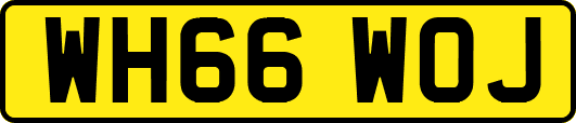 WH66WOJ