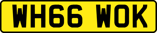 WH66WOK