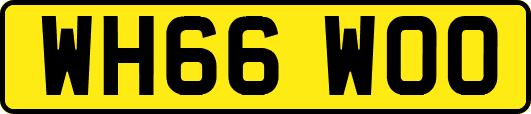 WH66WOO