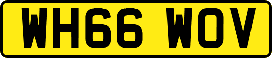 WH66WOV