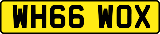 WH66WOX