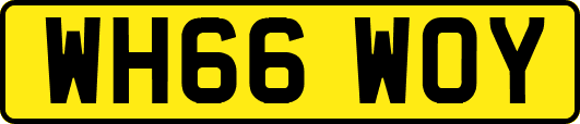 WH66WOY